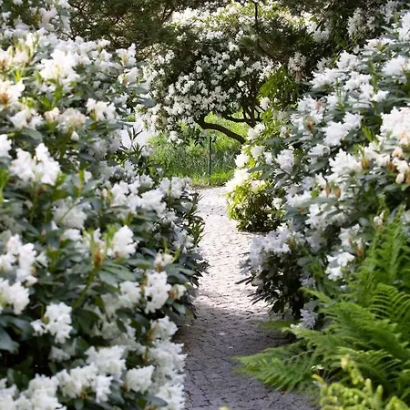 Apartment Jaskolka Dom I *