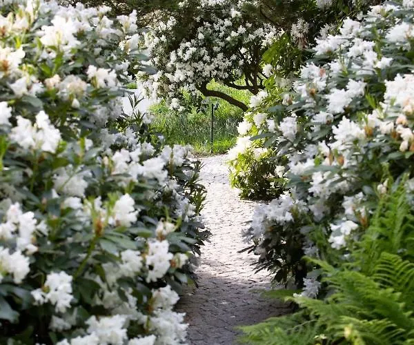 Apartmán Jaskolka Dom I *